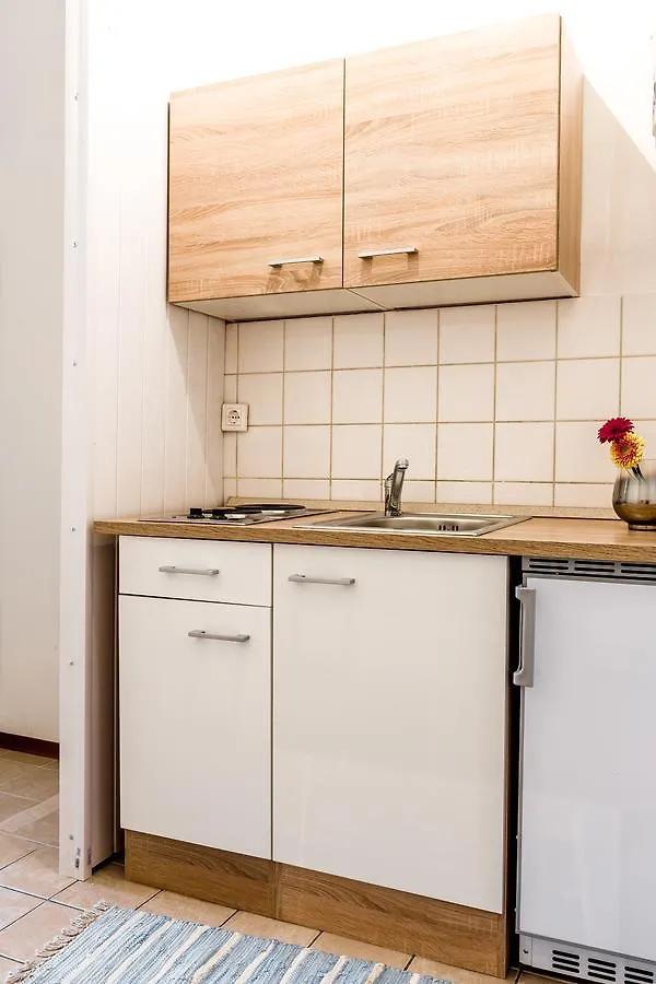 Holiday & Business Apartments 1160 비엔나 0*,